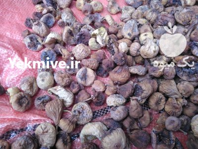 انجیر پادرختی در زنجان در گروه خرید و فروش انجیر در یکمیوه -عکس2