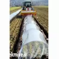 قیمت خرید عمده نایلون عریض کشاورزی در گروه خرید و فروش بسته بندی نایلونی در یکمیوه