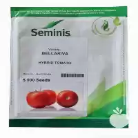 فروش توزیع بذر گوجه فرنگی در گروه خرید و فروش بذر گوجه در یکمیوه