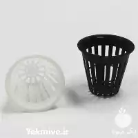 قیمت خرید بهترین انواع گلدان هیدروپونیک در گروه خرید و فروش گیاهان زینتی در یکمیوه