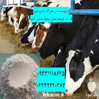 قیمت خرید دولومیت در خوراک دام در گروه خوراک دام و طیور در یکمیوه