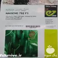 فروش قیمت و خرید بذر خیار در کرمان  در گروه خرید و فروش بذر خیار در یکمیوه