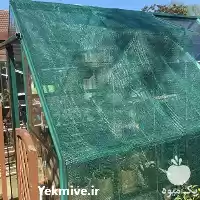 قیمت خرید شید گلخانه یا سایبان در گروه خرید و فروش توری گلخانه در یکمیوه