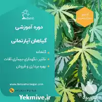 مناسب ترین گیاهان برای آپارتمان نحوه در تهران در گروه دوره آموزش کشاورزی در یکمیوه