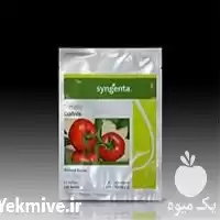 قیمت خرید بذر گوجه دافنیس معرف در شیراز در گروه خرید و فروش بذر گوجه در یکمیوه