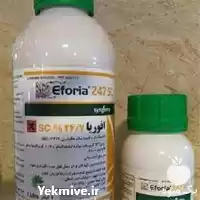 قیمت خرید سم حشره کش افوریا در کرمان  در گروه خرید و فروش انواع سم در یکمیوه