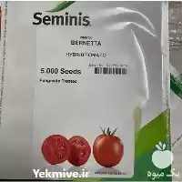 قیمت خرید بذر گوجه فرنگی برنتا در کرمان  در گروه خرید و فروش بذر گوجه در یکمیوه