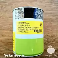 قیمت خرید قیمت بذر پیاز سفید در شیراز در گروه خرید و فروش بذر پیاز در یکمیوه