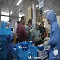 پرورش قارچ خوراکی با مدرک معتبر در گروه دوره آموزش کشاورزی در یکمیوه