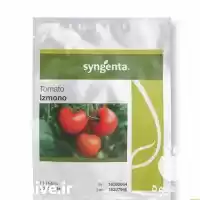 توزیع و فروش بذر گوجه ازمیر در گروه خرید و فروش بذر گوجه در یکمیوه