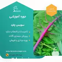 دوره آموزشی پرورش سبزی لوکس سویس در تهران در گروه دوره آموزش کشاورزی در یکمیوه