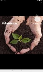 کود ورمی کمپوست در تهران در گروه خرید و فروش انواع کود کشاورزی در یکمیوه
