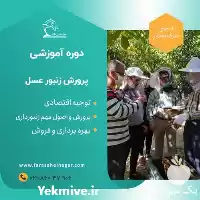 برگزاری دوره آموزش پرورش زنبور عسل در گروه دوره آموزش کشاورزی در یکمیوه