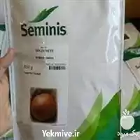فروش بذر پیاز سمینیس گلدن آی در شیراز در گروه خرید و فروش بذر پیاز در یکمیوه