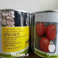 قیمت خرید قیمت بذر گوجه افرا در شیراز در گروه خرید و فروش بذر گوجه در یکمیوه