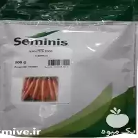 بذر هویج هیبرید سمینس فروش ارسال در تبریز در گروه خرید و فروش هویج در یکمیوه