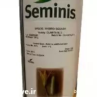 بذر کدوی زودرس کلاریتا فروش بذر در گروه خرید و فروش بذر کدو در یکمیوه