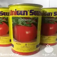 فروش بذر گوجه یونی ژن در تبریز در گروه خرید و فروش بذر گوجه در یکمیوه