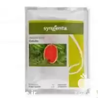 قیمت خرید قیمت بذر هندوانه گالینا در کرج در گروه خرید و فروش بذر هندوانه در یکمیوه