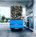 خریدار انواع چوب باغی در تبریز در گروه خرید و فروش انواع چوب در یکمیوه