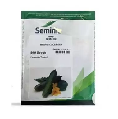 توزیع فروش بذر خیار گلخانه ای در تبریز در گروه خرید و فروش بذر خیار در یکمیوه -عکس1