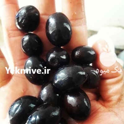 روغن زیتون محلی در رشت در گروه خرید و فروش انواع روغن در یکمیوه -عکس4