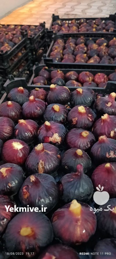 انجیرخشک بهداشتی و کاملا طبیعی در گروه خرید و فروش انجیر در یکمیوه -عکس3