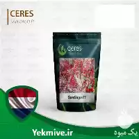 قیمت خرید پر بارترین بذر گوجه در خرم‌ آباد در گروه خرید و فروش بذر گوجه در یکمیوه