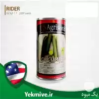 قیمت خرید بذر خیار قلمی رایدر در تبریز در گروه خرید و فروش بذر خیار در یکمیوه