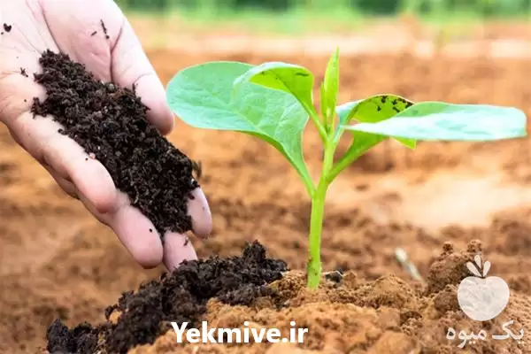 فروش کود ورمی کمپوست در گروه خرید و فروش کود کمپوست در یکمیوه -عکس1