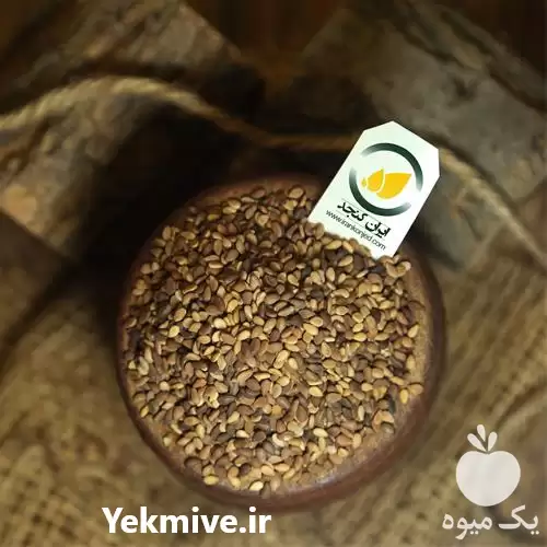 خرید دانه های روغنی با کیفیت در مشهد در گروه خرید و فروش دانه های روغنی در یکمیوه -عکس1