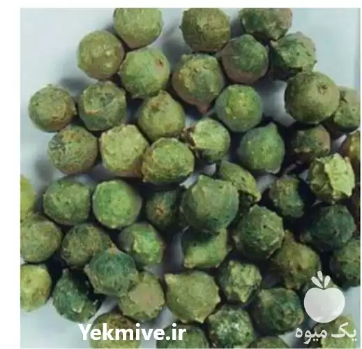 خرید فروش مازو سبز در شیراز در گروه خرید و فروش گیاهان دارویی در یکمیوه -عکس1