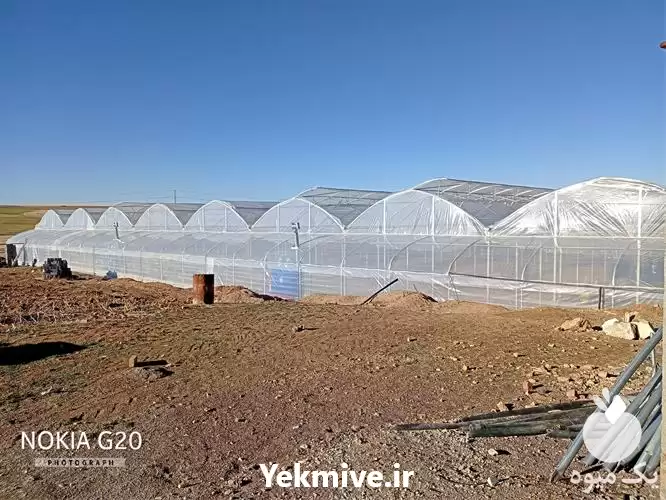 طراحی و احداث گلخانه در ساری در گروه سازنده در یکمیوه -عکس1
