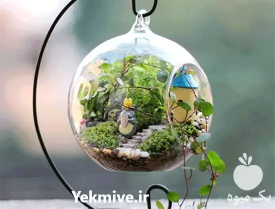 دوره آموزشی ساخت تراریوم و ویواریوم در گروه دوره آموزش کشاورزی در یکمیوه -عکس1