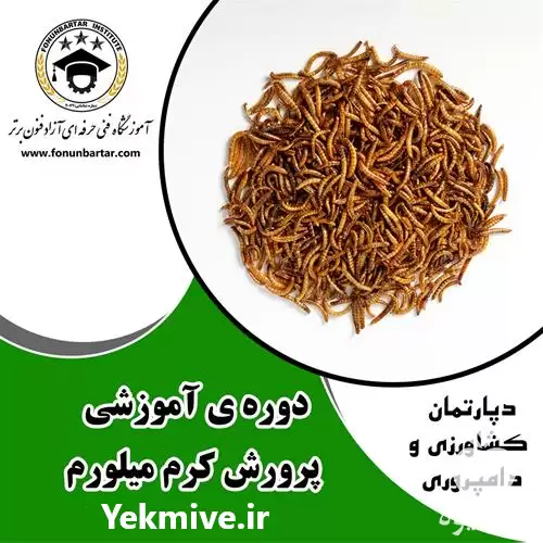 آموزش صفر تا صد تولید ورمی کمپوست در اصفهان در گروه دوره آموزش کشاورزی در یکمیوه -عکس1