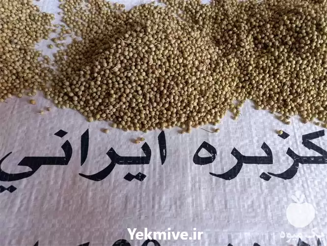 خرید فروش قیمت تخم گشنیز حبوبات در همدان در گروه خرید و فروش گیاهان دارویی در یکمیوه -عکس1