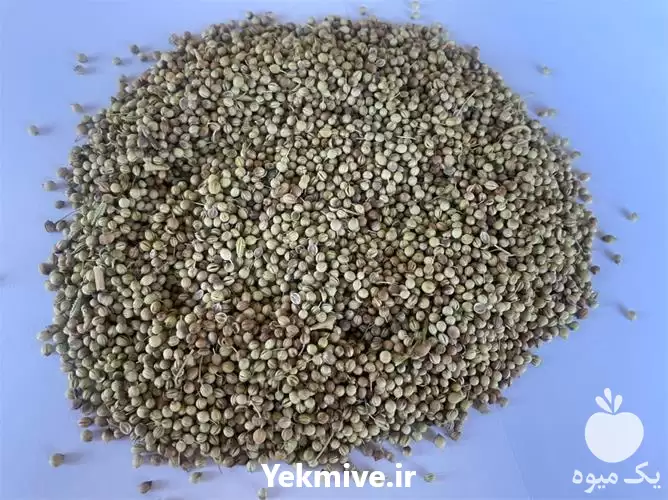 فروش خرید تخم گشنیز در همدان در گروه خرید و فروش گیاهان دارویی در یکمیوه -عکس1