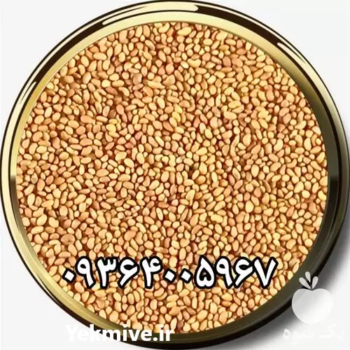 مرکز فروش بذر یونجه در اصفهان در گروه خرید و فروش بذر یونجه در یکمیوه -عکس1