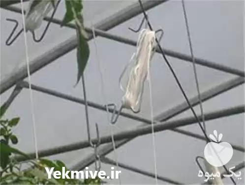 فروش قلاب آویز نخ گلخانه در گروه خرید و فروش تجهیزات گلخانه در یکمیوه -عکس1