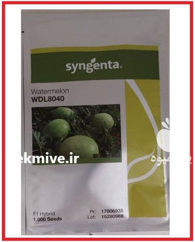 فروش بذر هندوانه دبلیو دی 8040 در اهواز در گروه خرید و فروش بذر هندوانه در یکمیوه -عکس1