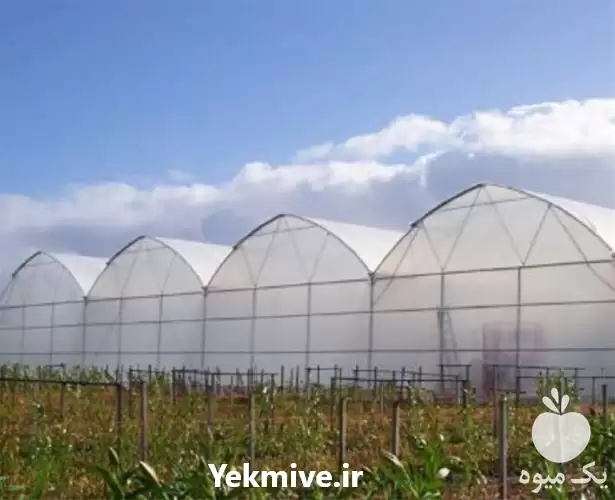 قیمت خرید عرضه و پخش نایلون در گروه خرید و فروش انواع پوشش ها در یکمیوه -عکس1