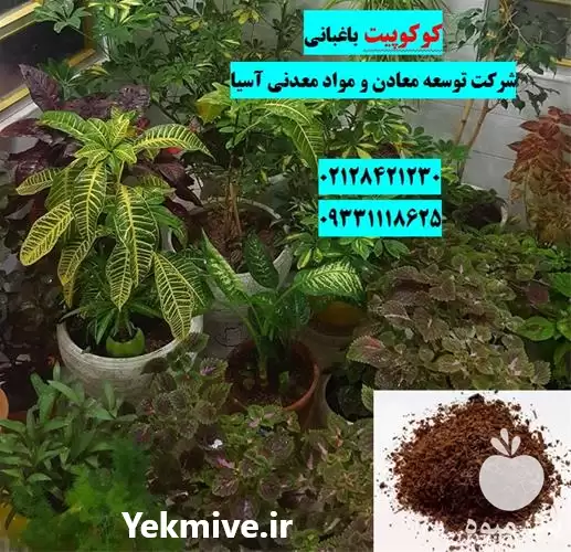 فروش کوکوپیت باغبانی در تهران در گروه خرید و فروش انواع کود کشاورزی در یکمیوه -عکس1