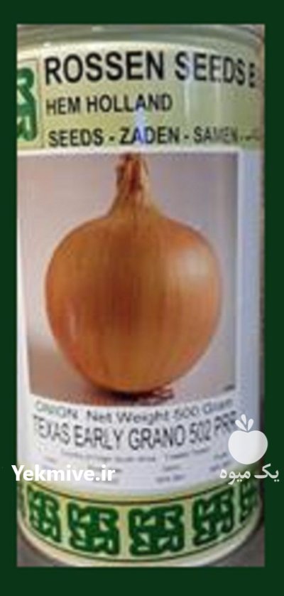 عرضه بذر پیاز تگزاس ارلی گرانو در ایذه در گروه خرید و فروش بذر پیاز در یکمیوه -عکس1