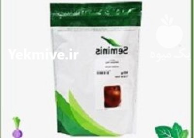 قیمت بذر پیاز امپراتریز سمینیس در گروه خرید و فروش بذر پیاز در یکمیوه -عکس1