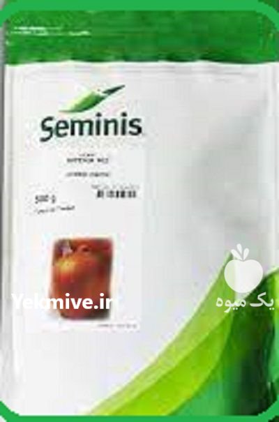 قیمت بذر پیاز امپراتریز سمینیس در گروه خرید و فروش بذر پیاز در یکمیوه -عکس2