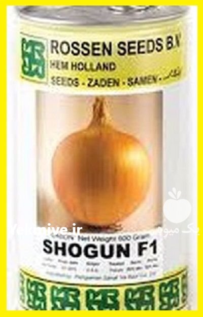 فروش بذر پیاز شوگان فلات در گروه خرید و فروش بذر پیاز در یکمیوه -عکس1