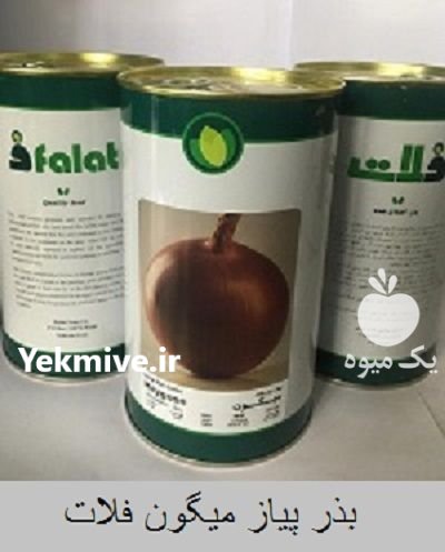 قیمت بذر پیاز میگون فلات در باغ ملک در گروه خرید و فروش بذر پیاز در یکمیوه -عکس1