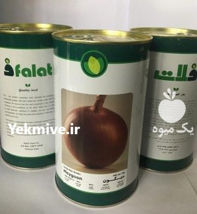 قیمت بذر پیاز میگون فلات در باغ ملک در گروه خرید و فروش بذر پیاز در یکمیوه -عکس2