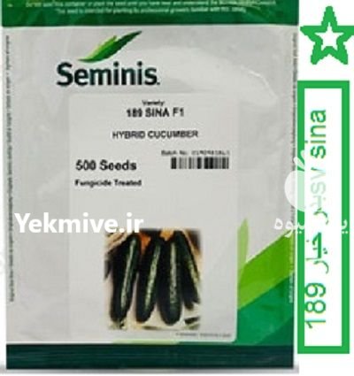 قیمت بذر خیار 189 سینا سمینیس در دلبران در گروه خرید و فروش بذر خیار در یکمیوه -عکس1