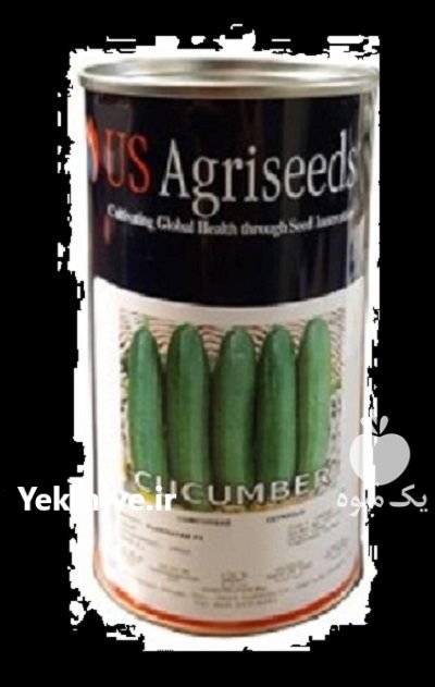 قیمت بذر خیار یو اس اگری در گروه خرید و فروش بذر خیار در یکمیوه -عکس1